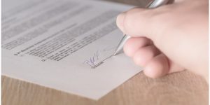 lebenslauf gestalten